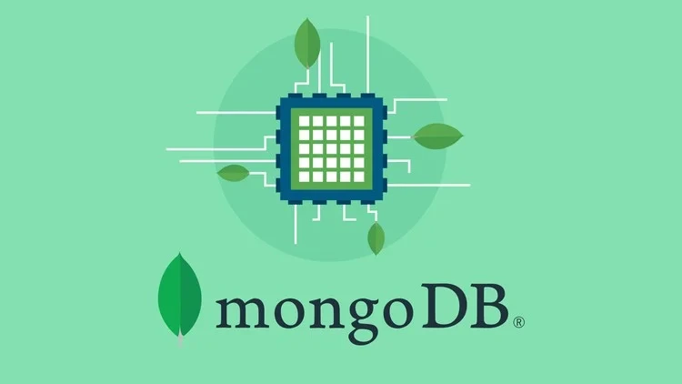Blog 

Banner Image